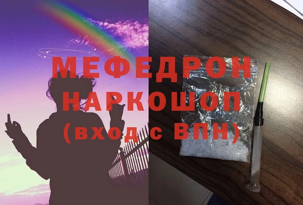 стаф Богданович